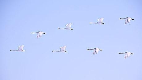 《战锤40K：行商浪人》12月7日发售 登陆PC和主机